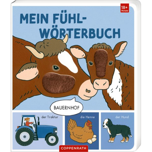 Sybille Brauer - Mein erstes Fühl-Wörterbuch