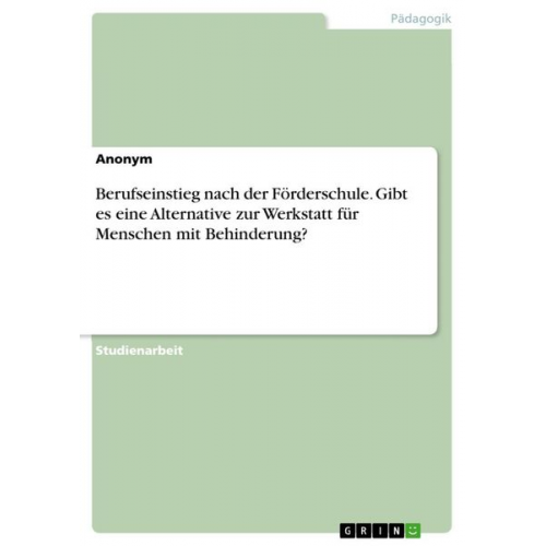 Berufseinstieg nach der Förderschule. Gibt es eine Alternative zur Werkstatt für Menschen mit Behinderung?