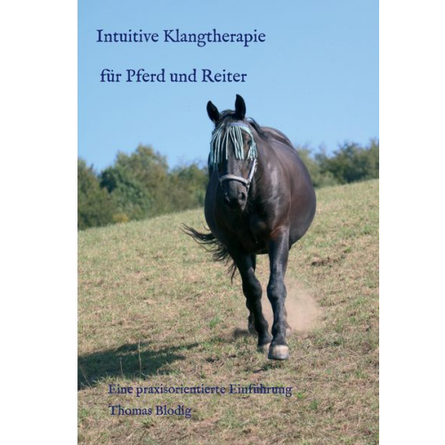 Thomas Blodig - Intuitive Klangtherapie für Pferd und Reiter