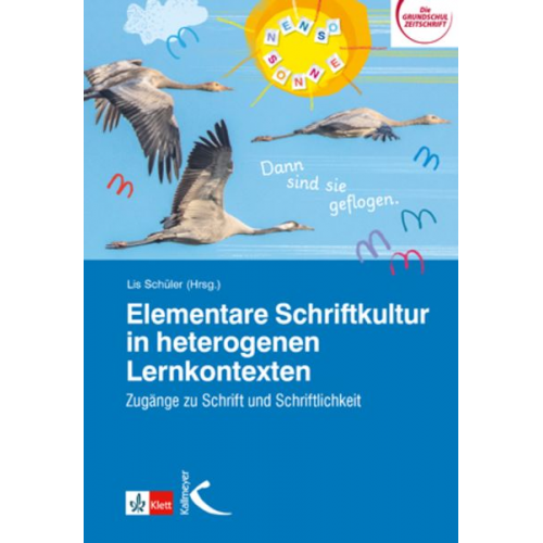 Elementare Schriftkultur in heterogenen Lernkontexten