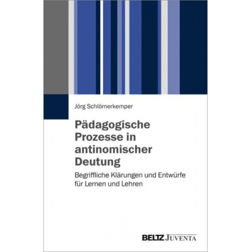 Jörg Schlömerkemper - Pädagogische Prozesse in antinomischer Deutung