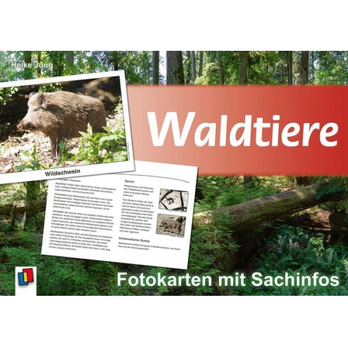 Heike Jung - Waldtiere - Fotokarten mit Sachinfos