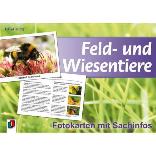 Heike Jung - Feld- und Wiesentiere - Fotokarten mit Sachinfos