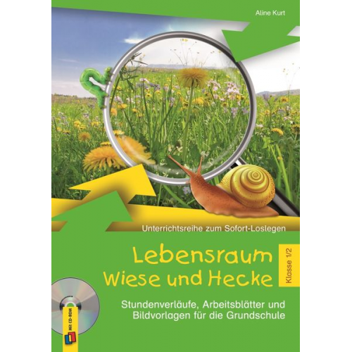 Aline Kurt - Lebensraum Wiese und Hecke - Klasse 1/2