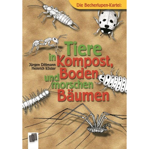 Heinrich Köster Jürgen Dittmann - Tiere in Kompost, Boden und morschen Bäumen