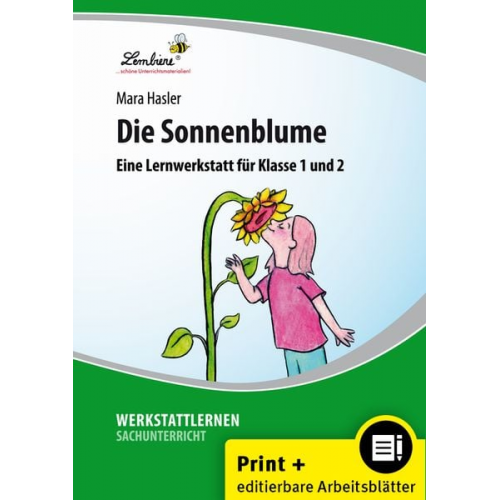 Mara Hasler - Die Sonnenblume. Grundschule, Sachunterricht, Klasse 1-2