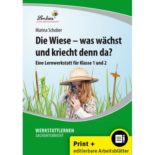 Marina Schober - Die Wiese - was wächst und kriecht denn da?