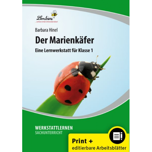 Barbara Hinel - Der Marienkäfer. Grundschule, Sachunterricht, Klasse 1-2