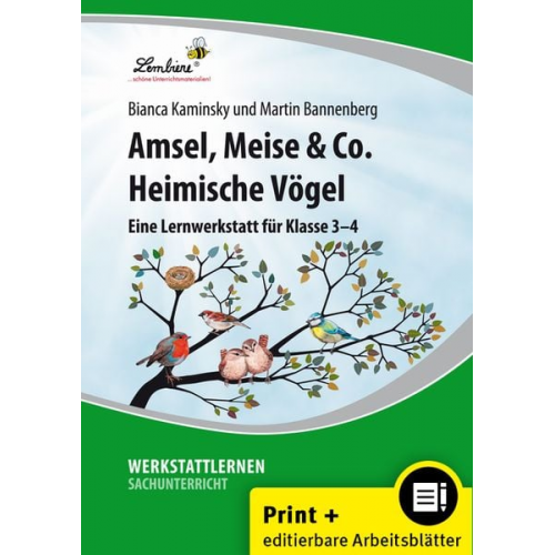 B. Kaminsky M. Bannenberg - Amsel, Meise & Co: Heimische Vögel