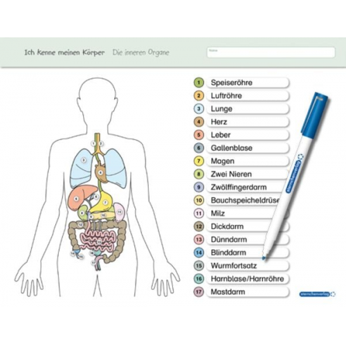 Sternchenverlag GmbH Katrin Langhans - Ich kenne meinen Körper - Die inneren Organe