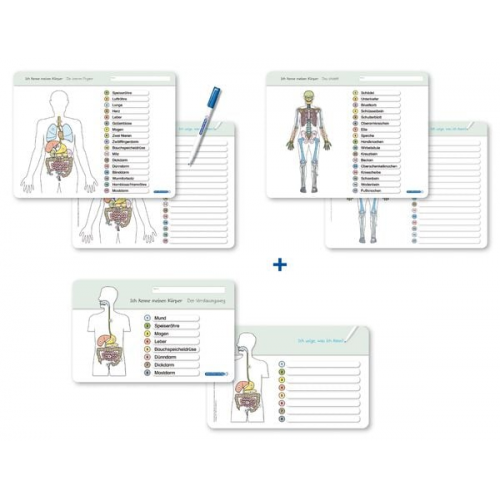 Katrin Langhans - Ich kenne meinen Körper - Organe / Skelett / Verdauung- 3 Tafeln im Set mit Stift