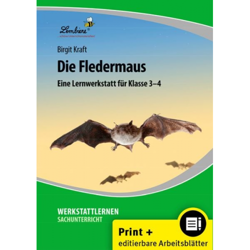 Birgit Kraft - Die Fledermaus (Set)