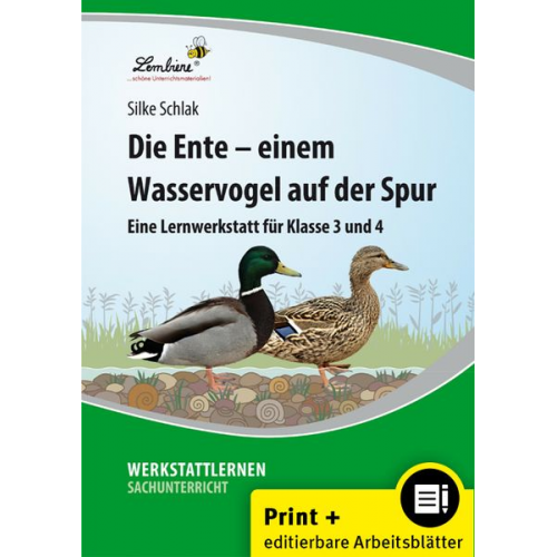 Silke Schlak - Die Ente - einem Wasservogel auf der Spur