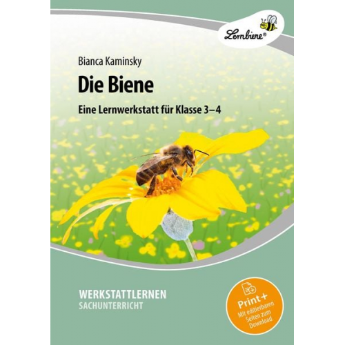 Bianca Kaminsky - Die Biene. Grundschule, Sachunterricht, Klasse 3-4