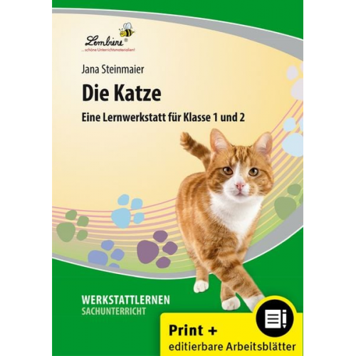 Jana Steinmaier - Die Katze