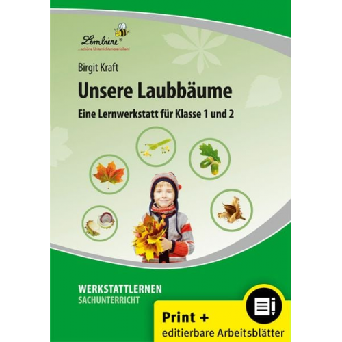 Birgit Kraft - Unsere Laubbäume. Grundschule, Sachunterricht, Klasse 1-2