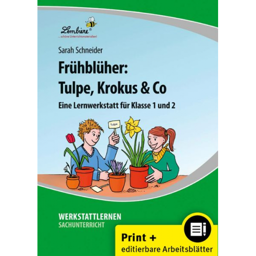 Sarah Schneider - Frühblüher: Tulpe, Krokus & Co