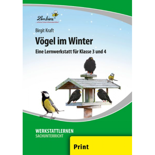 Birgit Kraft - Vögel im Winter (PR)