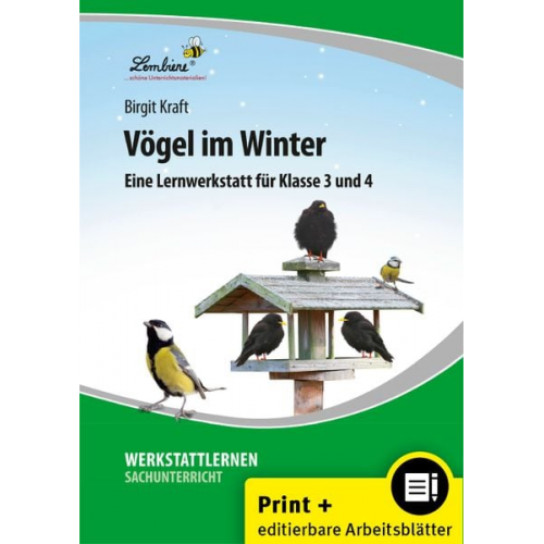 Birgit Kraft - Vögel im Winter