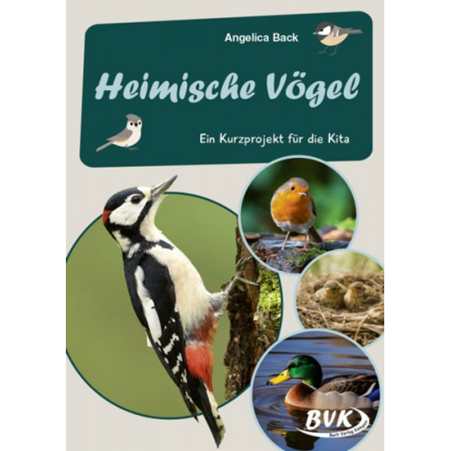 Angelica Back - Heimische Vögel -