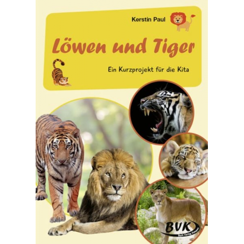 Kerstin Paul - Kurzprojekt Löwen und Tiger