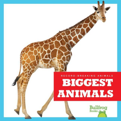 Lily Austen - Biggest Animals