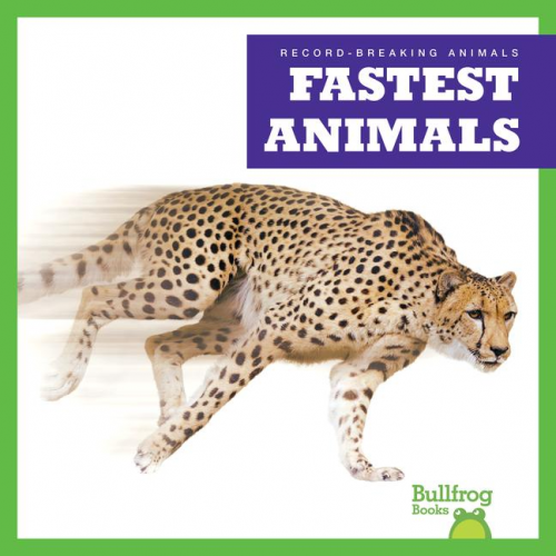 Lily Austen - Fastest Animals