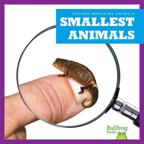 Lily Austen - Smallest Animals