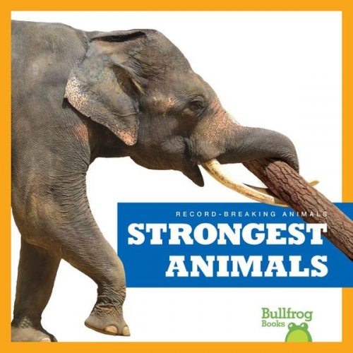 Lily Austen - Strongest Animals