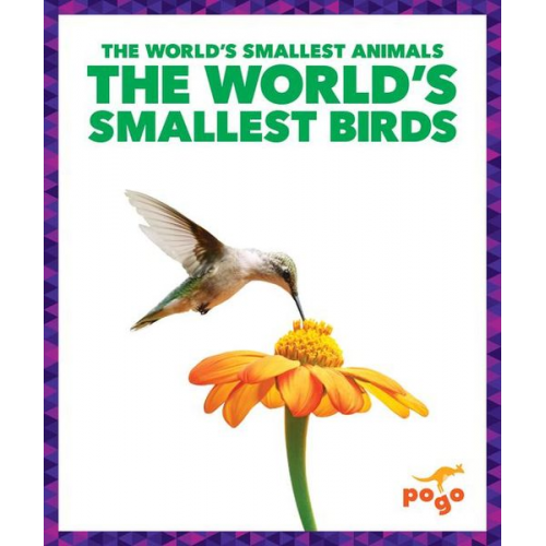 Becca Becker - The World's Smallest Birds