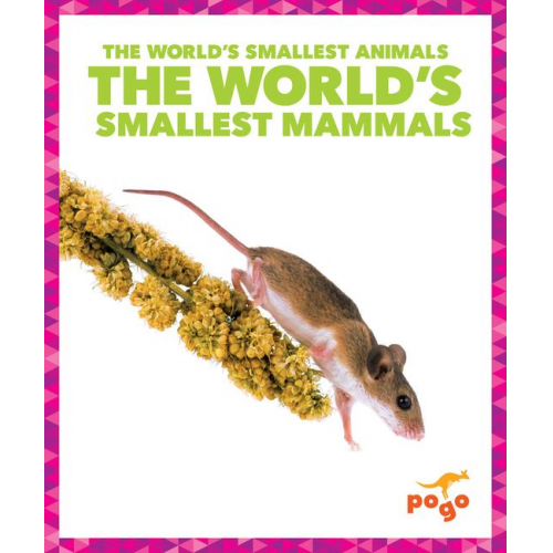 Becca Becker - The World's Smallest Mammals