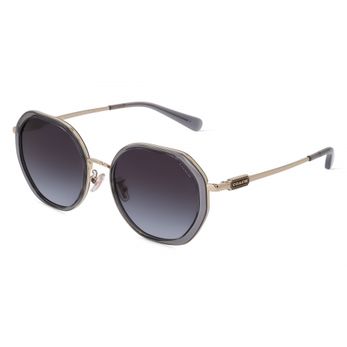 Coach HC7141 Damen-Sonnenbrille Vollrand Achteckig Metall-Gestell, gold