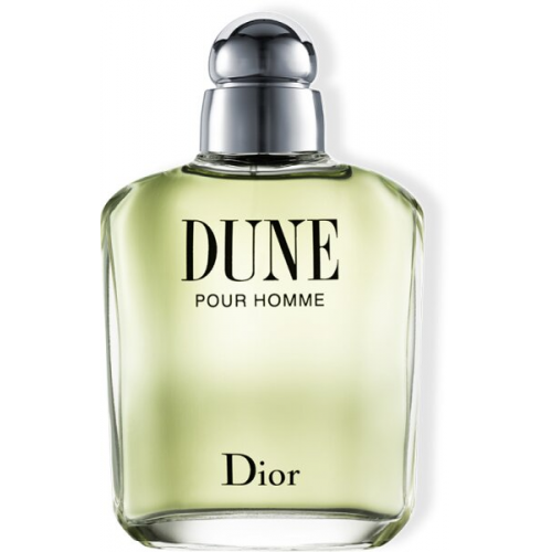 DIOR Dune Pour Homme Eau De Toilette 100 ml