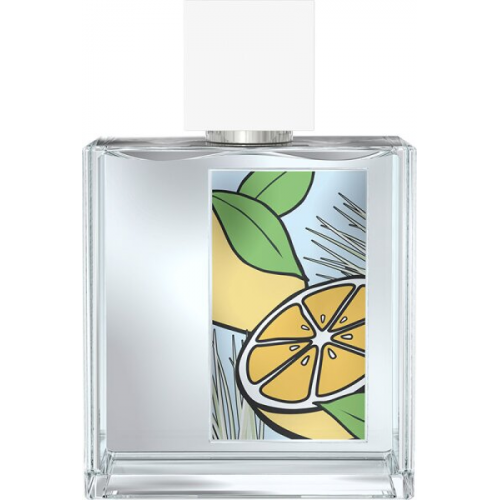 Mexx Whenever Wherever Eau de Toilette (EdT) Men 50 ml