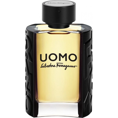 Salvatore Ferragamo Uomo Eau de Toilette (EdT) 100 ml