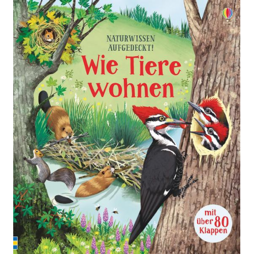 Emily Bone - Naturwissen aufgedeckt! Wie Tiere wohnen