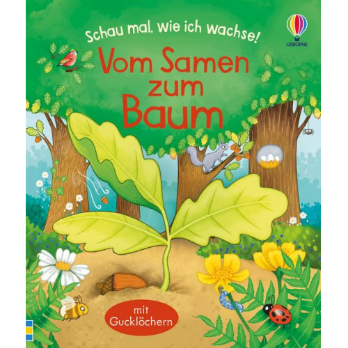 143903 - Schau mal, wie ich wachse! Vom Samen zum Baum