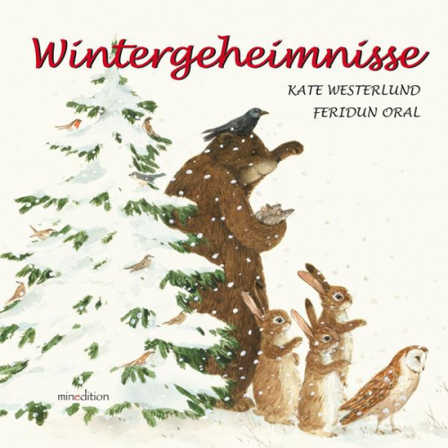 Kate Westerlund - Wintergeheimnisse