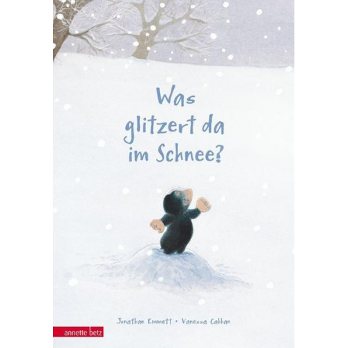 Jonathan Emmett - Was glitzert da im Schnee?