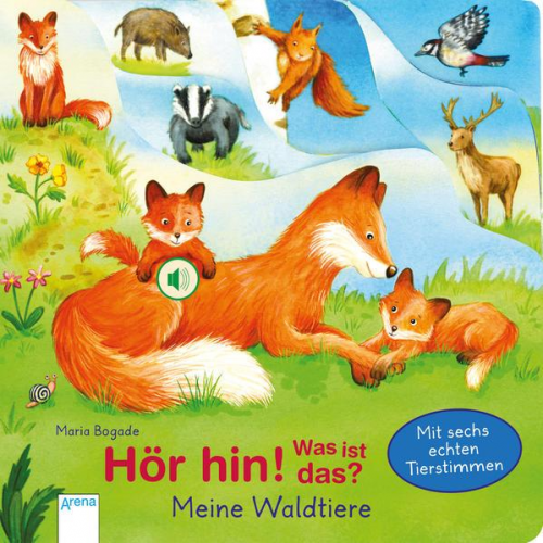 Bärbel Müller - Hör hin! Was ist das? Meine Waldtiere