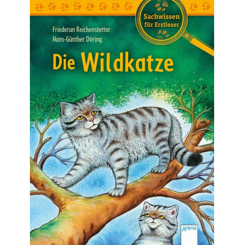 105652 - Die Wildkatze