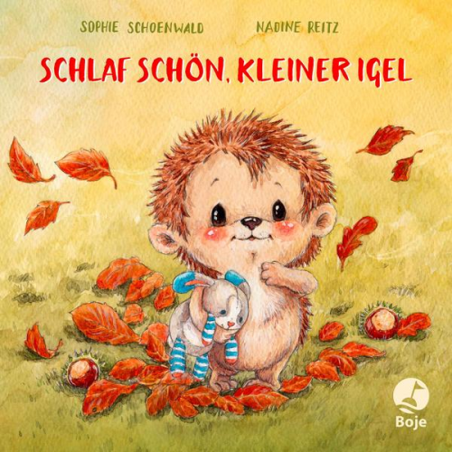 62231 - Schlaf schön, kleiner Igel