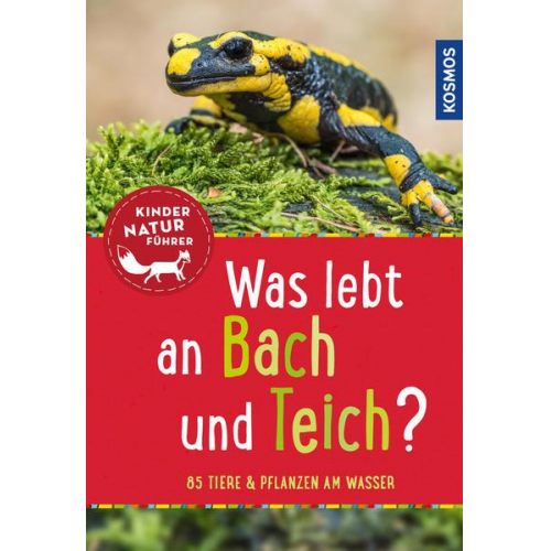 53916 - Was lebt an Bach und Teich? Kindernaturführer