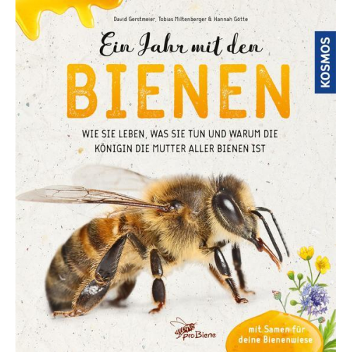 57211 - Ein Jahr mit den Bienen