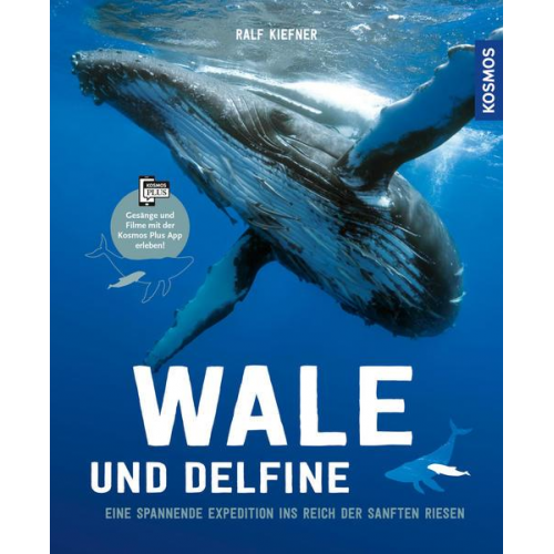 Ralf Kiefner - Wale & Delfine