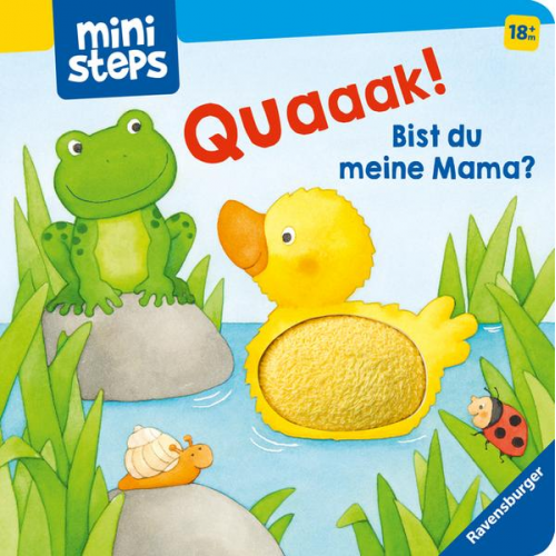 Bernd Penners - Ministeps: Quak! Bist du meine Mama?