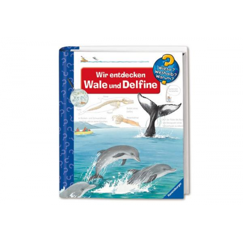 53864 - Wieso? Weshalb? Warum?, Band 41: Wir entdecken Wale und Delfine