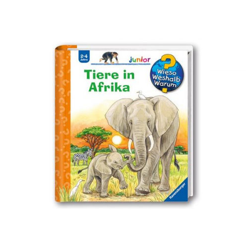 22804 - Tiere in Afrika / Wieso? Weshalb? Warum? Junior Bd.50