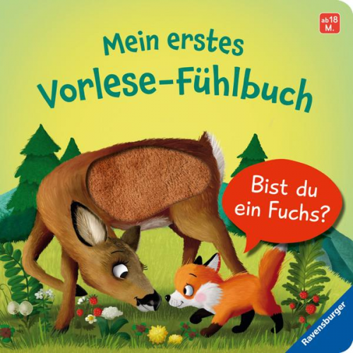 Kathrin Lena Orso - Mein erstes Vorlese-Fühlbuch - Bist du ein Fuchs?