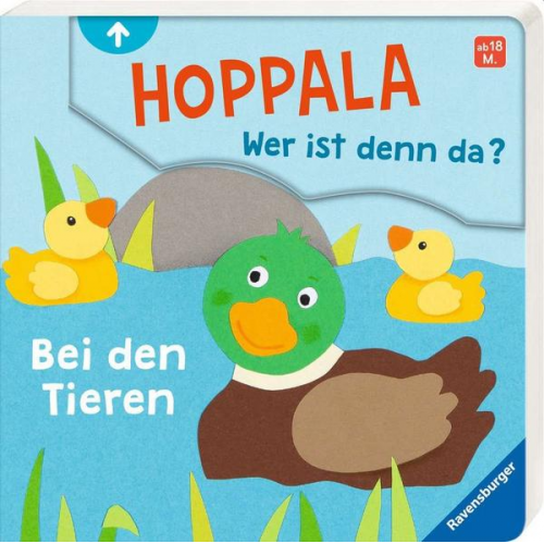 Kathrin Lena Orso - Hoppala, wer ist denn da? Bei den Tieren